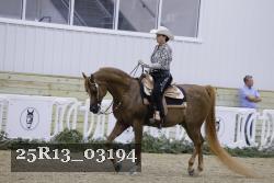 25R13_03194 thumbnail