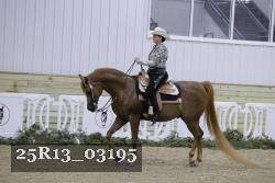 25R13_03195 thumbnail