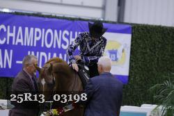 25R13_03198 thumbnail