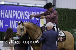 25R13_03206 thumbnail