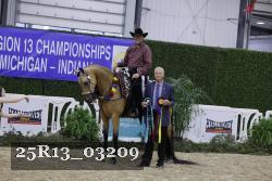 25R13_03209 thumbnail