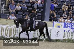 25R13_03244 thumbnail