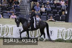 25R13_03245 thumbnail