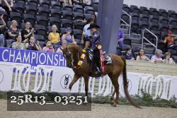 25R13_03251 thumbnail