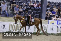 25R13_03256 thumbnail