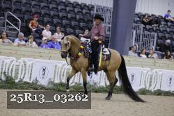 25R13_03262 thumbnail