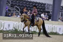 25R13_03263 thumbnail