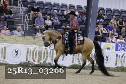 25R13_03266 thumbnail