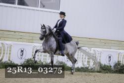 25R13_03275 thumbnail