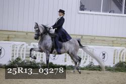 25R13_03278 thumbnail