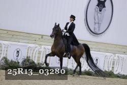 25R13_03280 thumbnail