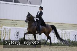 25R13_03282 thumbnail