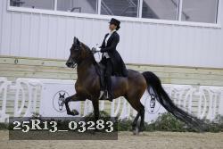 25R13_03283 thumbnail