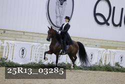 25R13_03285 thumbnail