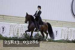 25R13_03286 thumbnail