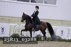 25R13_03288 thumbnail