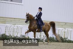 25R13_03289 thumbnail