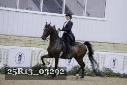 25R13_03292 thumbnail
