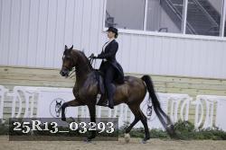 25R13_03293 thumbnail