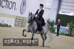 25R13_03297 thumbnail