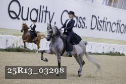 25R13_03298 thumbnail