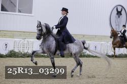 25R13_03299 thumbnail