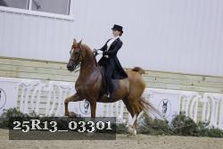 25R13_03301 thumbnail