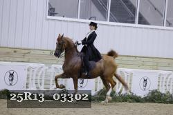25R13_03302 thumbnail