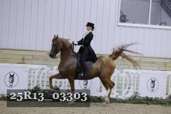25R13_03303 thumbnail