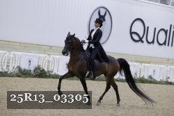 25R13_03305 thumbnail