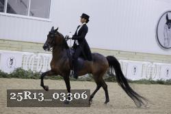 25R13_03306 thumbnail