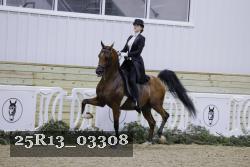 25R13_03308 thumbnail