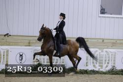 25R13_03309 thumbnail