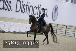 25R13_03312 thumbnail