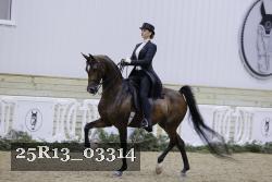 25R13_03314 thumbnail
