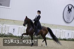25R13_03317 thumbnail