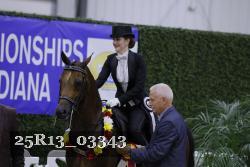 25R13_03343 thumbnail
