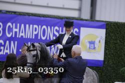 25R13_03350 thumbnail