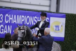 25R13_03351 thumbnail