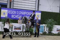 25R13_03355 thumbnail