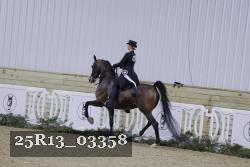 25R13_03358 thumbnail