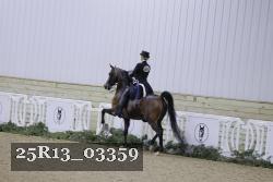 25R13_03359 thumbnail