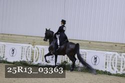25R13_03363 thumbnail