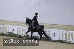 25R13_03364 thumbnail