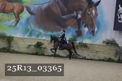 25R13_03365 thumbnail