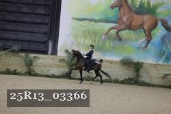 25R13_03366 thumbnail