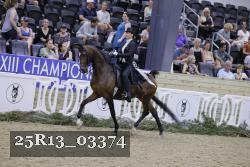 25R13_03374 thumbnail