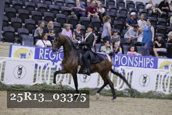 25R13_03375 thumbnail