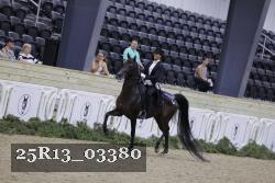 25R13_03380 thumbnail