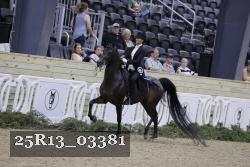 25R13_03381 thumbnail